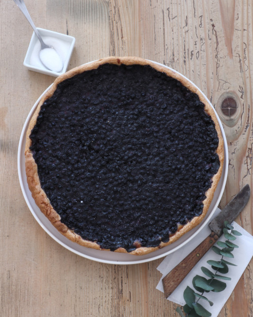 Tarte aux myrtilles (entière)