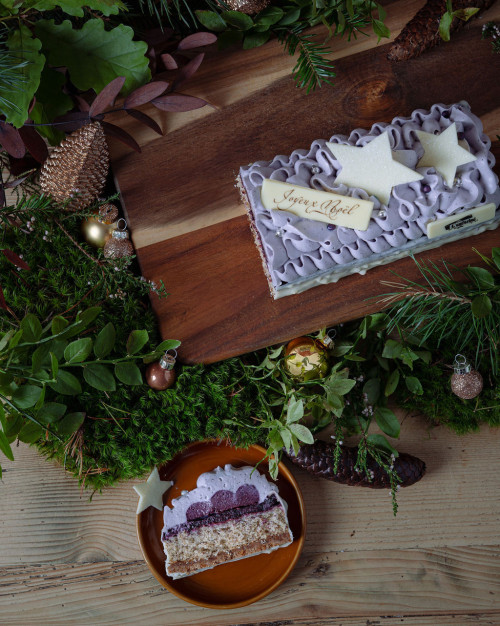 Bûche de Noël - Myrtilles & Épices de Noël